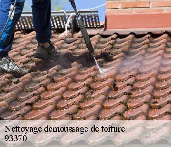 Nettoyage demoussage de toiture  93370