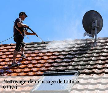 Nettoyage demoussage de toiture  93370