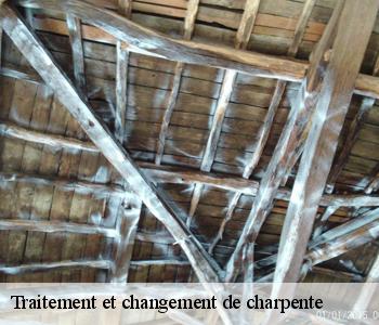 Traitement et changement de charpente  93370