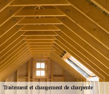 Traitement et changement de charpente